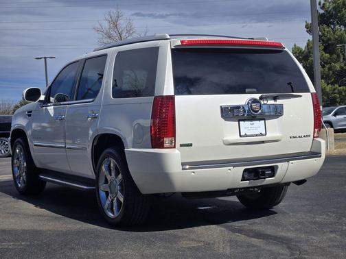 2010 Cadillac Escalade Luxury
