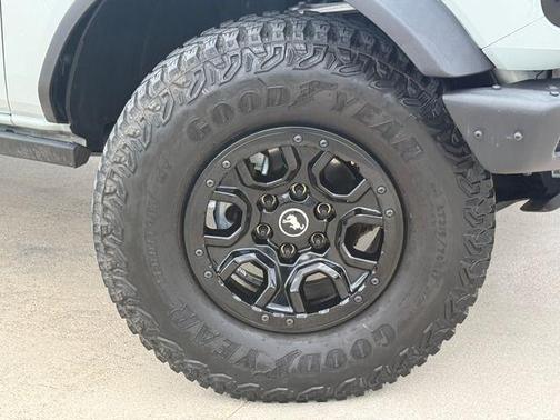 Cactus 2021 Ford Bronco First Edition