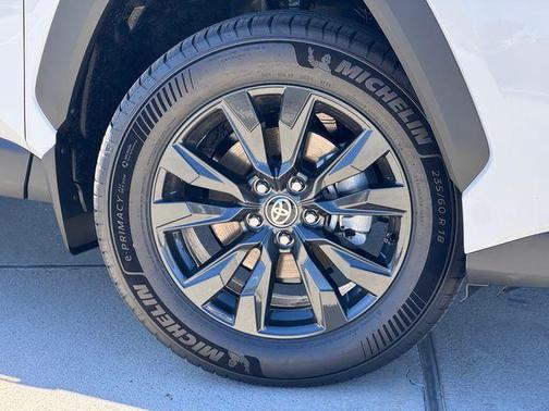 Ice 2026 Toyota RAV4 XLE Premium