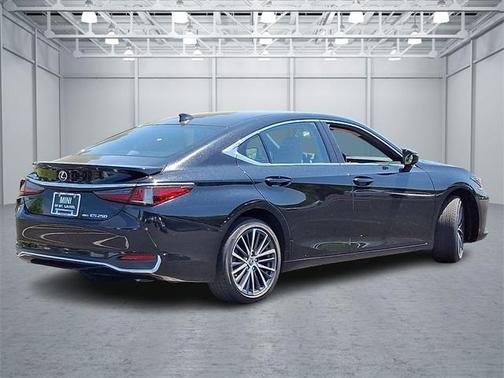 2022 Lexus ES 250 Luxury