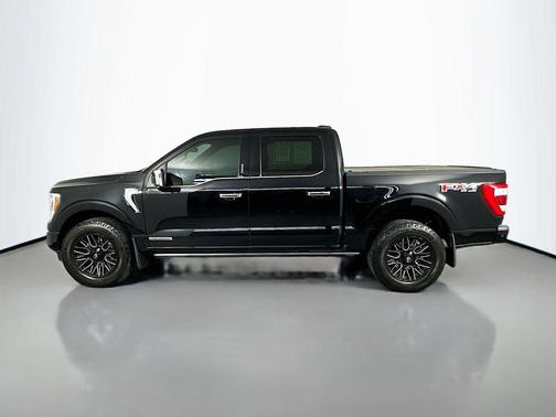 AGATE BLACK METALLIC 2021 Ford F-150 Platinum