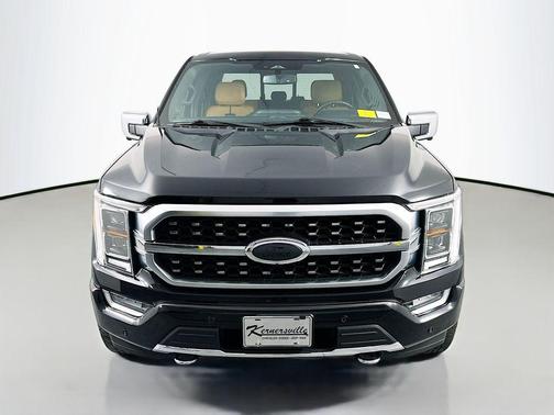 AGATE BLACK METALLIC 2021 Ford F-150 Platinum