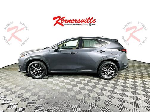 2023 Lexus NX 250 Premium