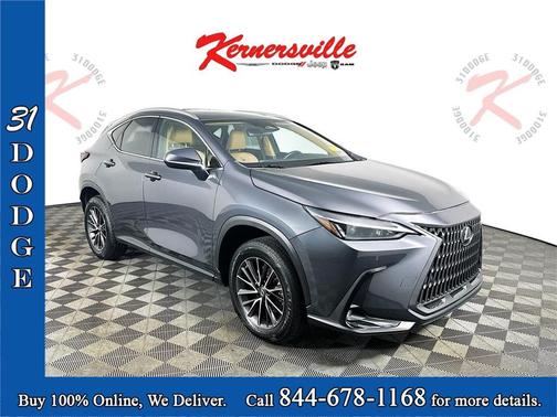 2023 Lexus NX 250 Premium