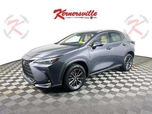 2023 Lexus NX 250 Premium