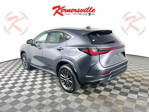 2023 Lexus NX 250 Premium