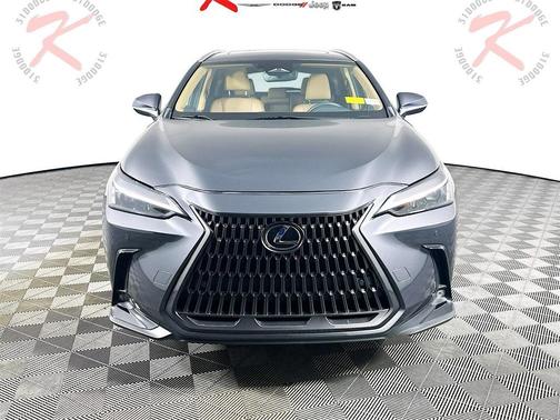 2023 Lexus NX 250 Premium