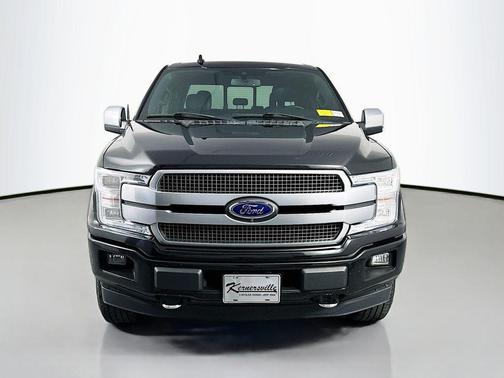 AGATE BLACK 2019 Ford F-150 Platinum