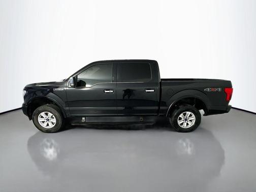 AGATE BLACK 2019 Ford F-150 Platinum