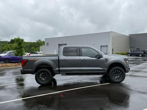 Gray Metallic 2025 Ford F-150 Tremor