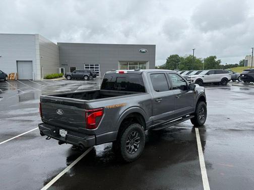 Gray Metallic 2025 Ford F-150 Tremor