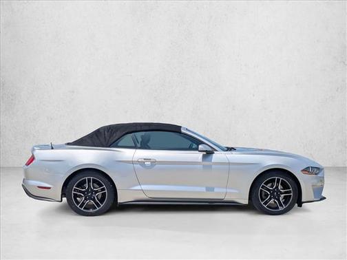 Ingot Silver Metallic 2019 Ford Mustang EcoBoost Premium