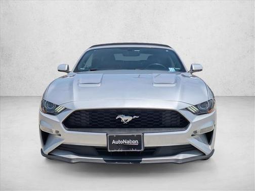 Ingot Silver Metallic 2019 Ford Mustang EcoBoost Premium