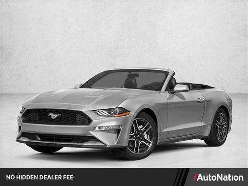 Ingot Silver Metallic 2019 Ford Mustang EcoBoost Premium