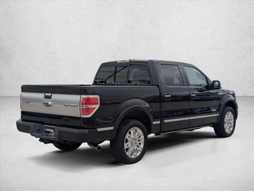 2013 Ford F-150 Platinum