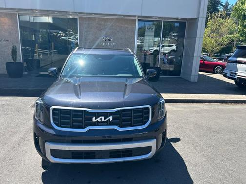 Metal 2025 Kia Telluride S