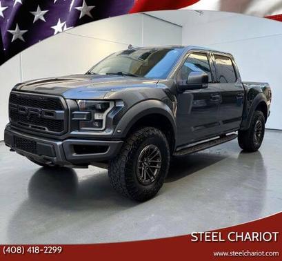 Magnetic Metallic 2019 Ford F-150 Raptor