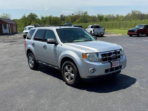 Ingot Silver Metallic 2010 Ford Escape XLT
