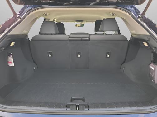 Mica 2022 Lexus RX 350 Base