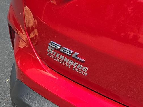 RAPID RED TINTED CC 2024 Ford Edge SEL