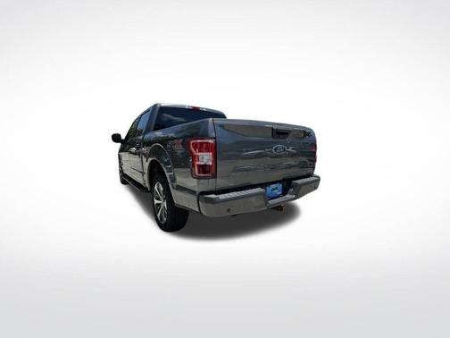 Magnetic 2020 Ford F-150 XL