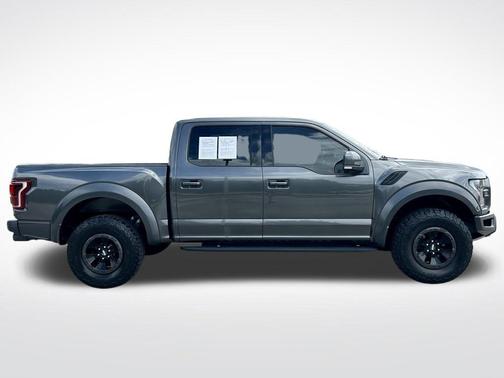 Magnetic 2018 Ford F-150 Raptor