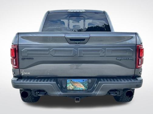 Magnetic 2018 Ford F-150 Raptor