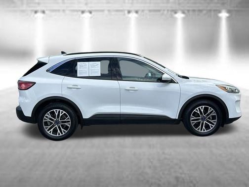 Oxford White 2020 Ford Escape SEL