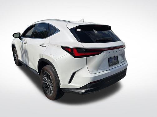 2024 Lexus NX 250 Premium