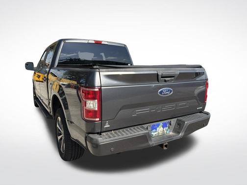 Magnetic 2019 Ford F-150 XL