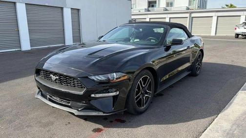 Shadow Black 2019 Ford Mustang EcoBoost Premium