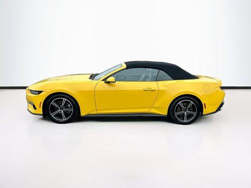 YELLOW SPLASH METALLIC 2024 Ford Mustang ECOBOOST PREMIUM