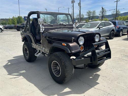 Other 1979 Jeep CJ