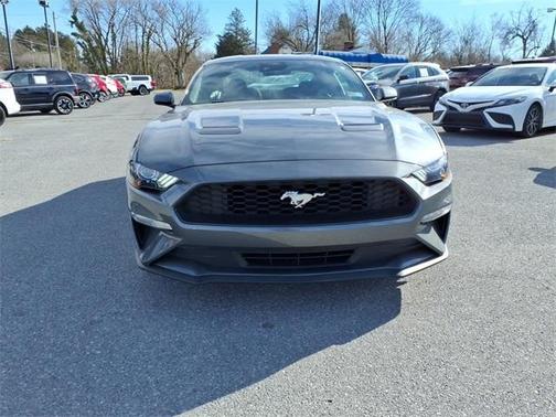 2023 Ford Mustang EcoBoost
