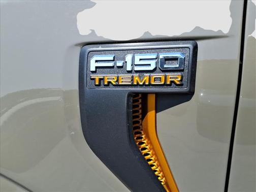 Gray 2026 Ford F-150 Tremor