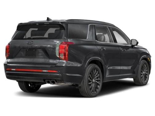 Abyss Black Pearl 2025 Hyundai PALISADE Calligraphy Night Edition