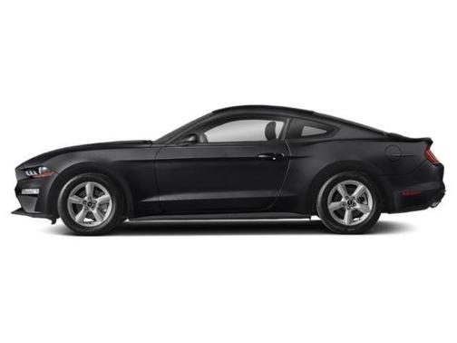 Shadow Black 2019 Ford Mustang EcoBoost