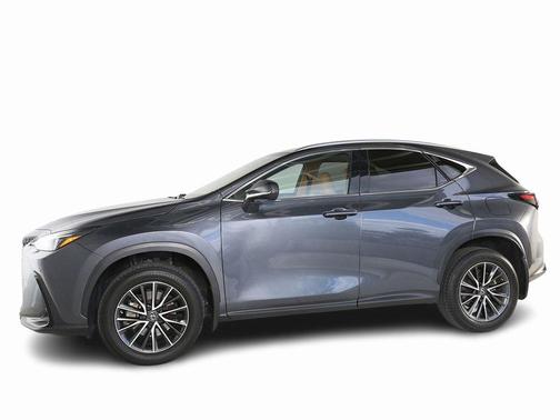 2022 Lexus NX 350h 350h Base