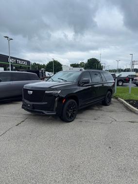 Black Raven 2023 Cadillac Escalade ESV Sport Platinum