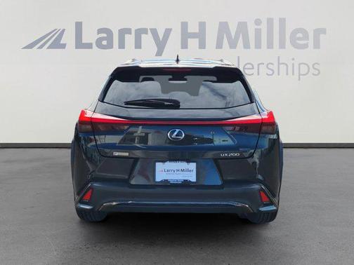 2019 Lexus UX 200 F Sport