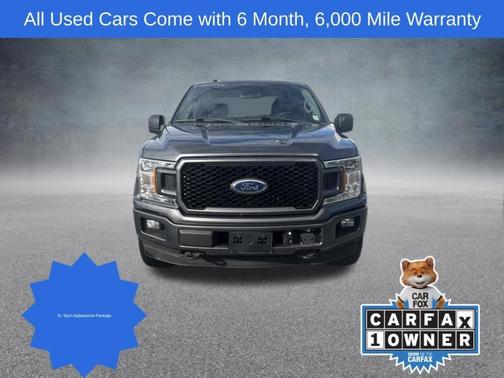 Magnetic 2018 Ford F-150 XL