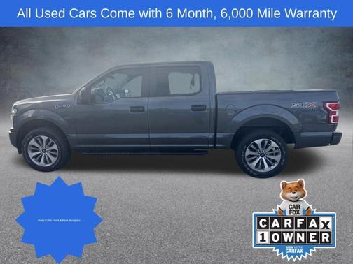 Magnetic 2018 Ford F-150 XL