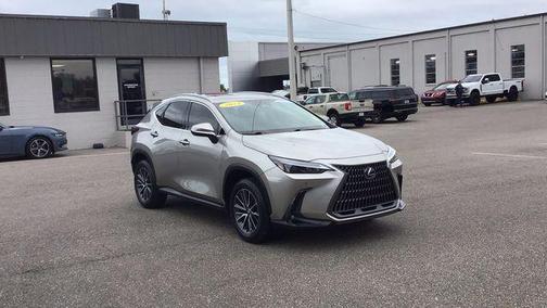 2024 Lexus NX 250 Premium