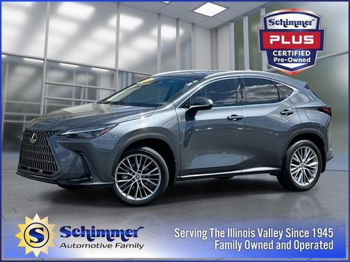 Cloudburst Gray 2024 Lexus NX 350h Luxury