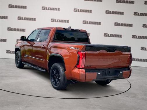2025 Toyota Tundra Platinum
