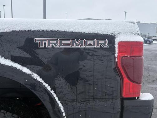 2022 Ford F-250 Platinum