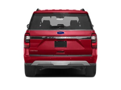 Magnetic 2019 Ford Expedition Limited