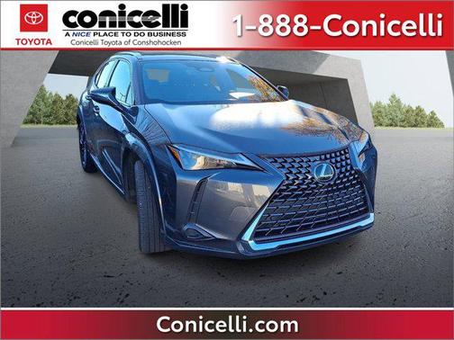 2025 Lexus UX 300h Premium