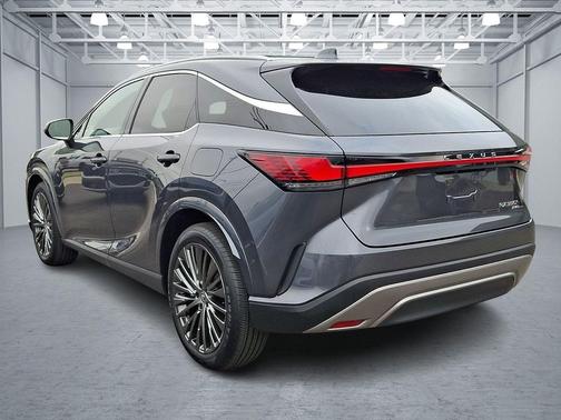 Cloudburst Gray 2025 Lexus RX 350 Luxury