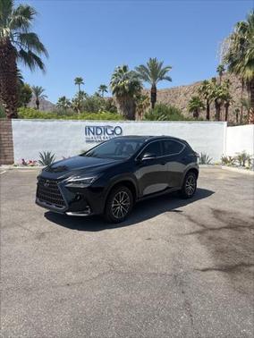2022 Lexus NX 350h 350h Base